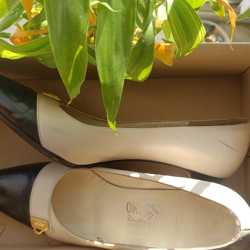 Designer Salvatore Ferragamo shoes